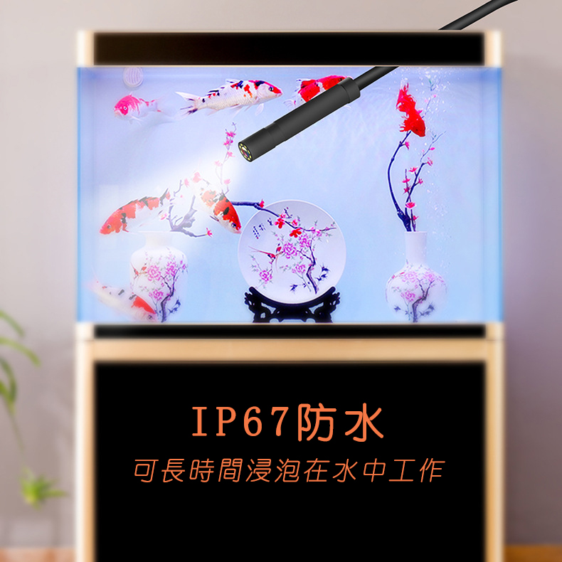 14715747727_1339448382.jpg